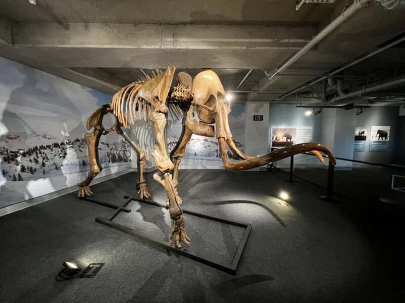 Miami: Frost Museum of Science and Planetarium Entry Ticket - FAQ