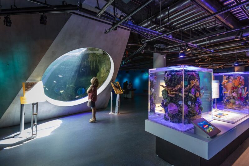 Miami: Frost Museum of Science and Planetarium Entry Ticket - Key Points