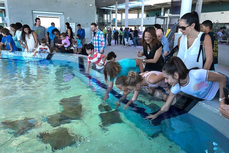 Miami: Frost Museum of Science and Planetarium Entry Ticket - FAQ