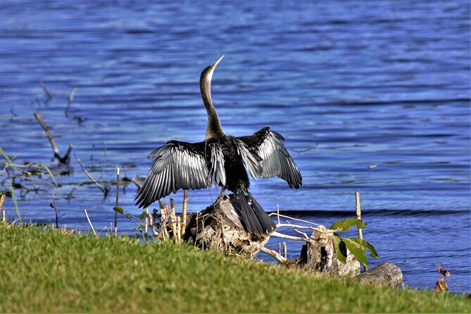 Miami Full Day Self-Guided Sightseeing Tour w/ Cruise and Everglades Airboat - Final Thoughts: Is This Tour For You?