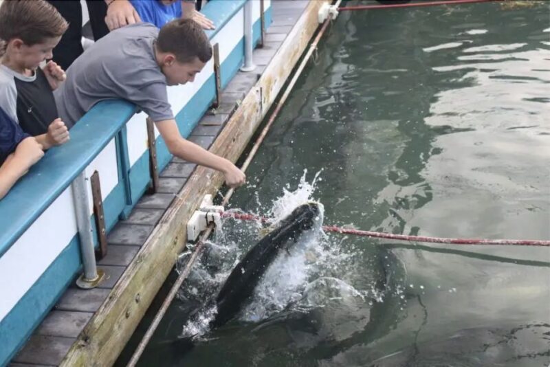 Miami: Giant Fish Feeding Experience - Who is this experience best suited for?