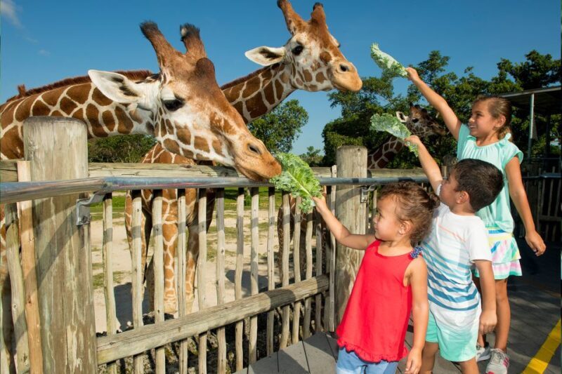 Miami: Go City All-Inclusive Pass with 30+ Attractions - Who Should Consider This Pass?