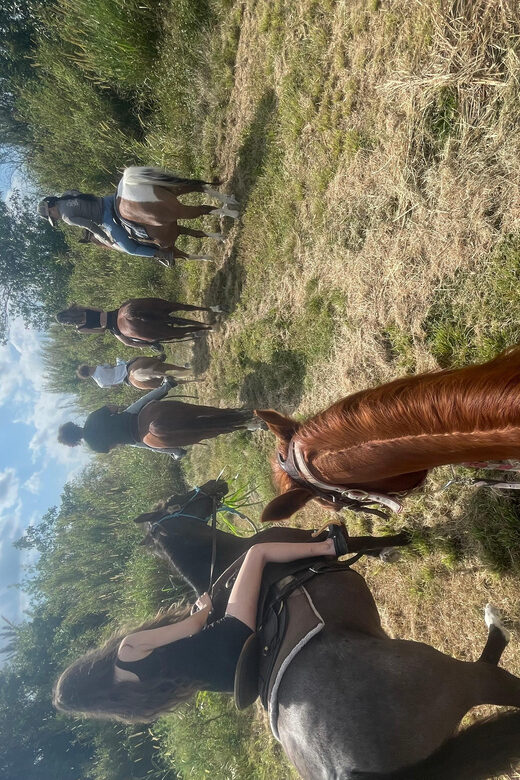 Miami: Guided Horseback Riding Tour - The Experience in Detail