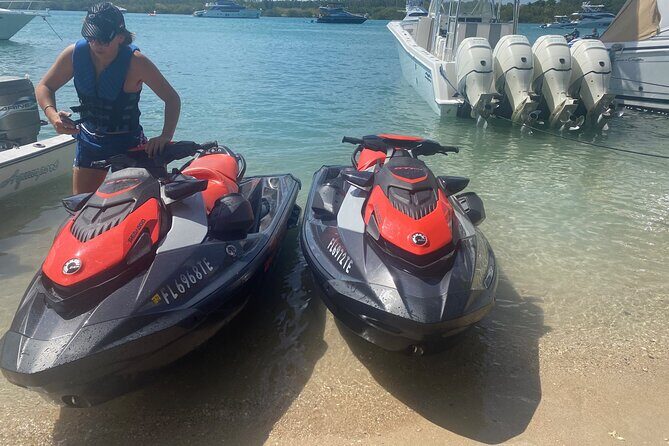 Miami: Haulover Sandbar in Bal Harbor Jet Ski ride - Wildlife & Scenic Highlights