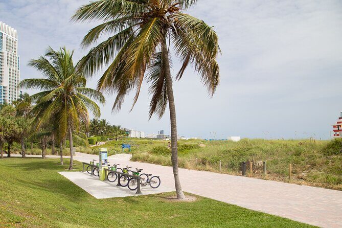 Miami : Highlights Private Bike Tour With A Guide (Private Tour) - Key Points