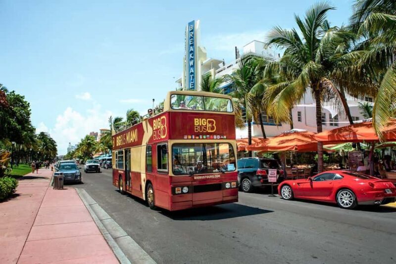 Miami: Hop-on Hop-off Open-top Bus Tour with Optional Cruise - Accessibility and Practicalities