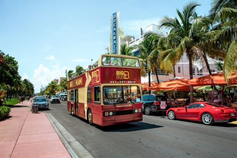 Miami: Hop-on Hop-off Sightseeing Tour with Optional Cruise - Who Should Consider This Tour?