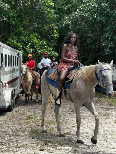 Miami: Horseback Riding in South Beach - What to Expect from the Miami Horseback Riding Tour