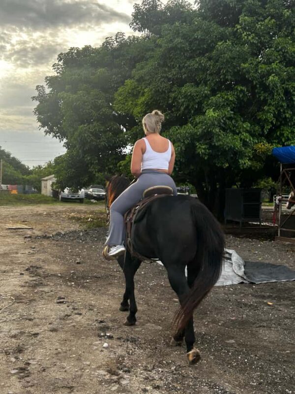 Miami: Horseback Riding Tour with Instructor - Miami: Horseback Riding Tour with Instructor — A Practical Look