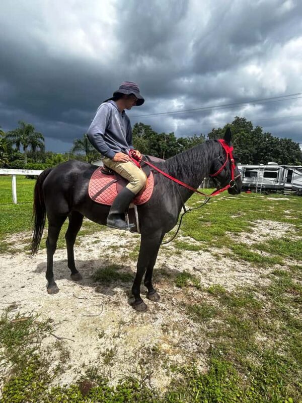 Miami: Horseback Riding Tour with Instructor - Final Thoughts