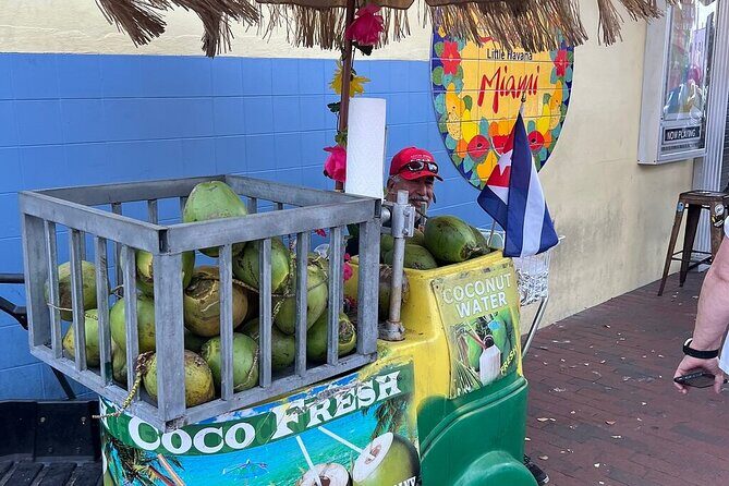 Miami Iconic places city tour: History, Art & Culture - Who’s This Tour Best For?