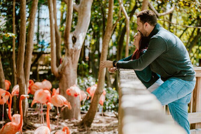 Miami: Jungle Island General Admission Ticket - Key Points