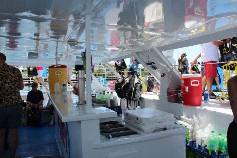 Miami: Key West Boat Tour w/ Optional Snorkeling & Open Bar - Authentic Insights from Reviews