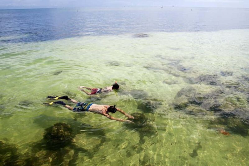 Miami: Key West Day Tour by Bus with Optional Activities - Final Thoughts