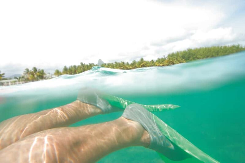 Miami: Key West Day Trip with Dolphin Spotting or Snorkeling - Balancing Land and Water