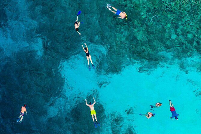 MIAMI: Key West Dolphin Watch Tour and other options - FAQ