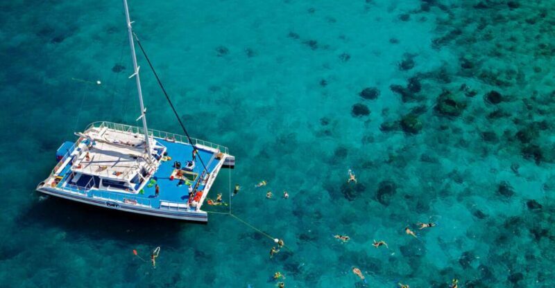 Miami: Key West with Catamaran Tour, Drinks, and Free Time - FAQ