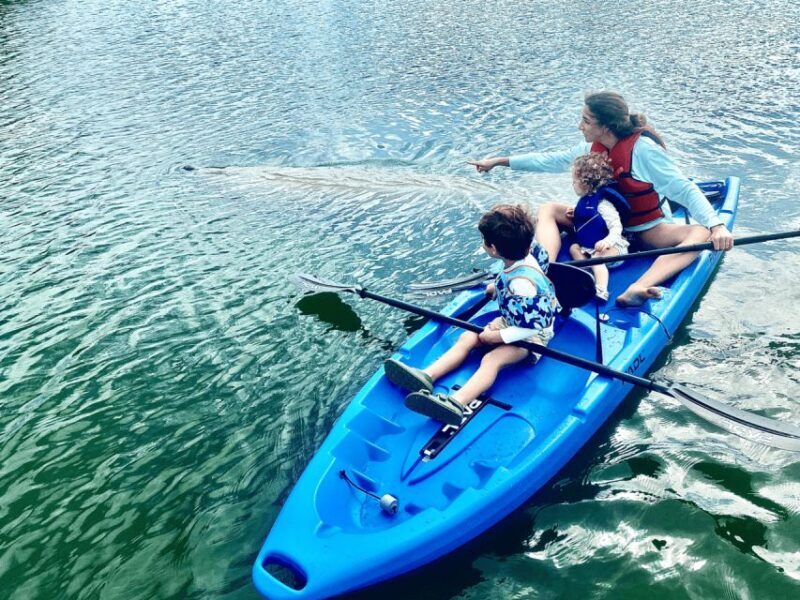 Miami: Manatee Season Paddleboard or Kayak Tour - An In-Depth Look at the Tour Experience