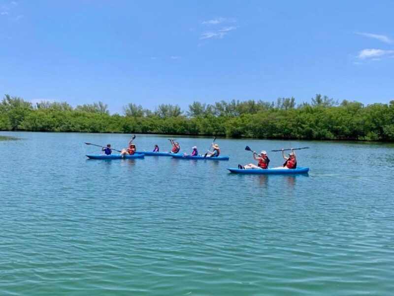 Miami: Manatee Season Paddleboard or Kayak Tour - Who Will Love This Tour?