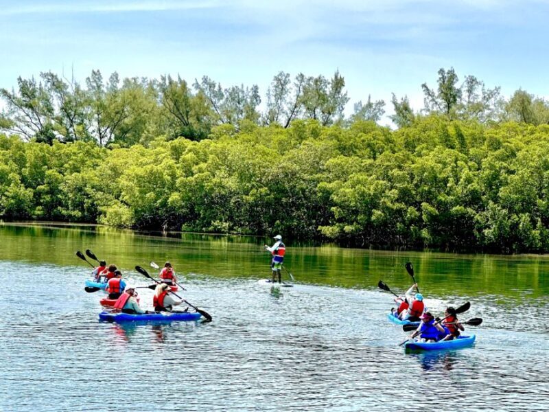 Miami: Manatee Season Paddleboard or Kayak Tour - Final Thoughts