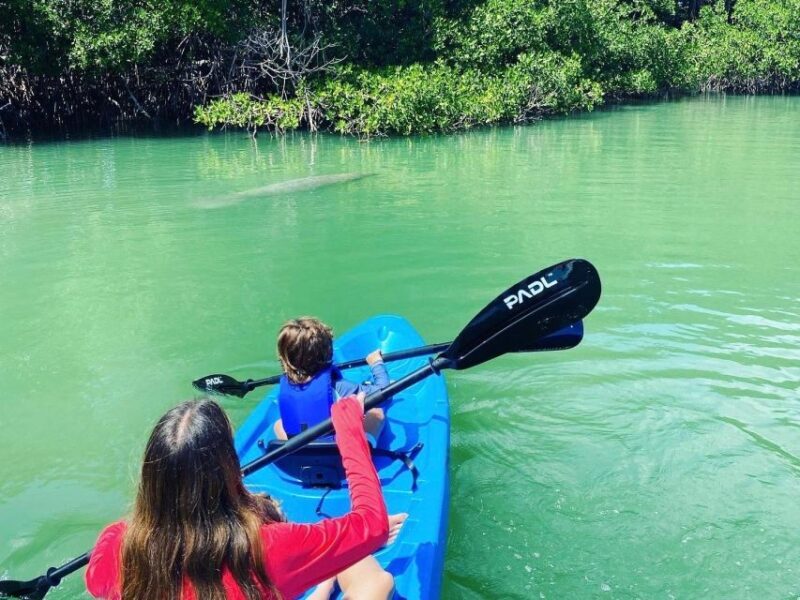 Miami: Paddle Board or Kayak Rental in Virginia Key - An In-Depth Look at the Experience