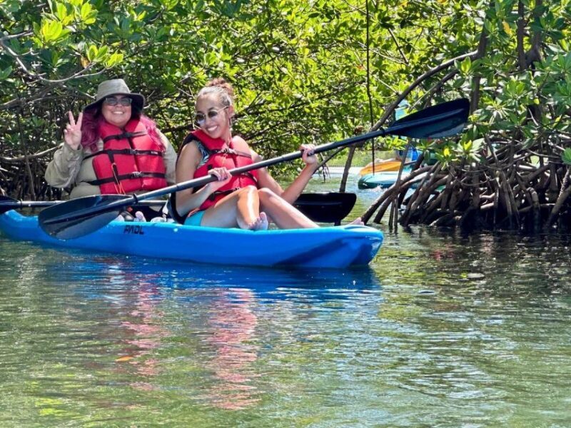 Miami: Paddle Board or Kayak Rental in Virginia Key - The Sum Up