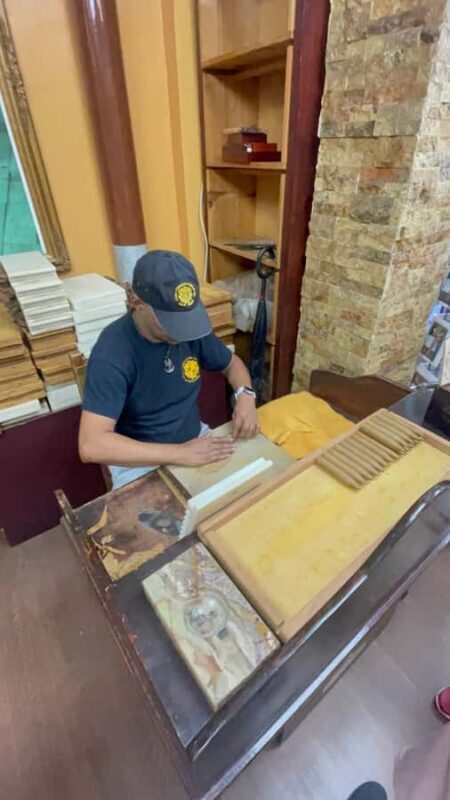 Miami: Private 4hrs City Tour with Expert Guide - Who Should Consider This Tour?