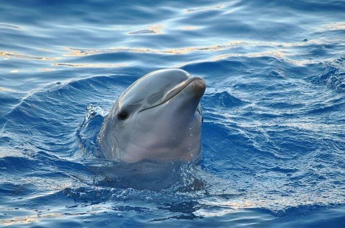 Miami: Private Golden Hour Cruise - Final Thoughts