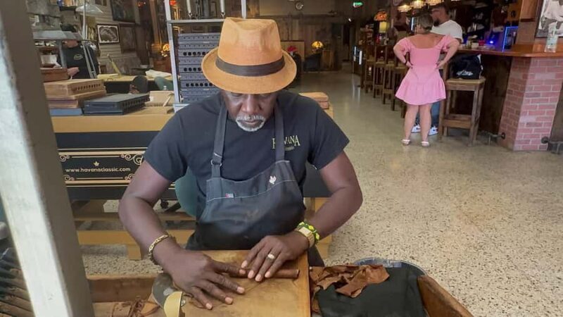 Miami Skyline Millionaire Cruise & Bus Tour 5 stops & Coffee - Key Points