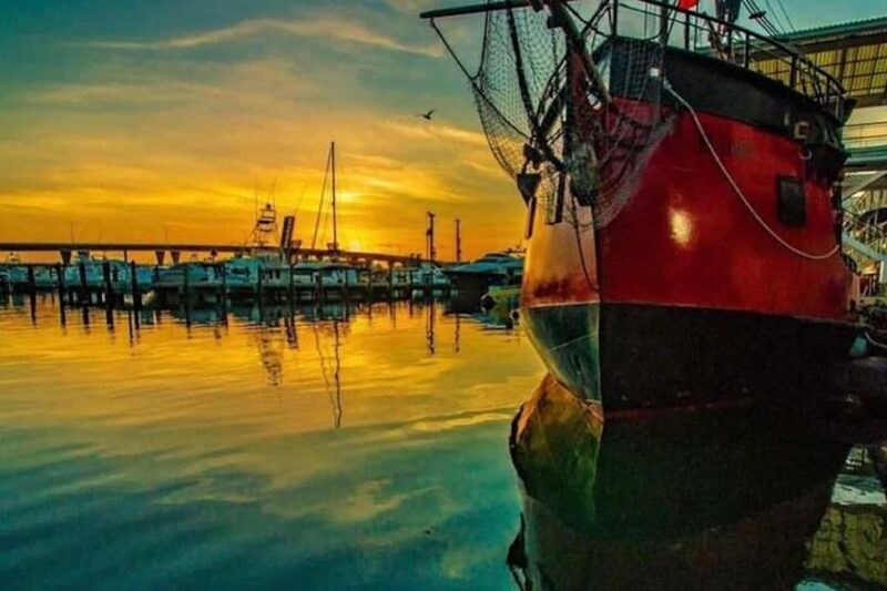 Miami: Skyline & Millionaire's Homes Pirate Boat Cruise - Key Points