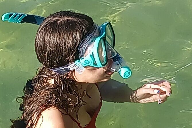 Miami: Snorkel adventure & Sandbar Trip - What to Expect from the Snorkel Adventure & Sandbar Trip