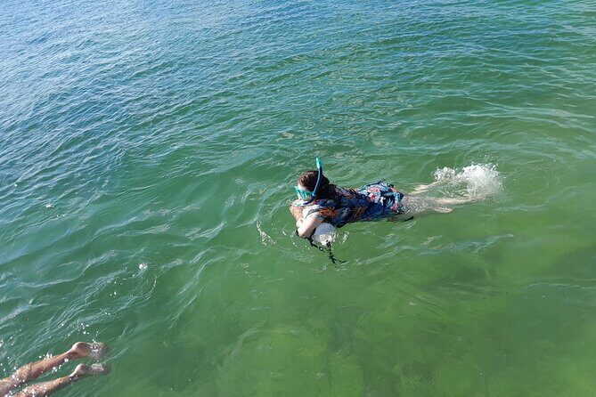 Miami: Snorkel adventure & Sandbar Trip - Who This Tour Is Best For