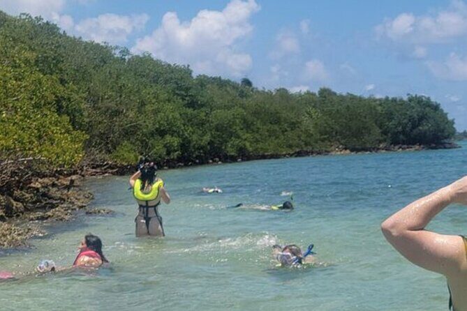 Miami: Snorkeling Adventure in Miami for Beginners Private Yacht - FAQ
