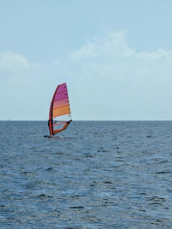 Miami: Windsurfing Experience at Hobie Beach - Key Points