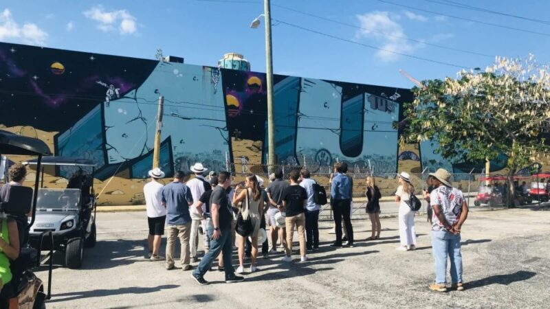 Miami: Wynwood Arts District Walking Tour - Who Should Consider This Tour?