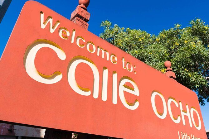 Miami's Top Bus and Citywalk Tour - What Makes This Tour Stand Out