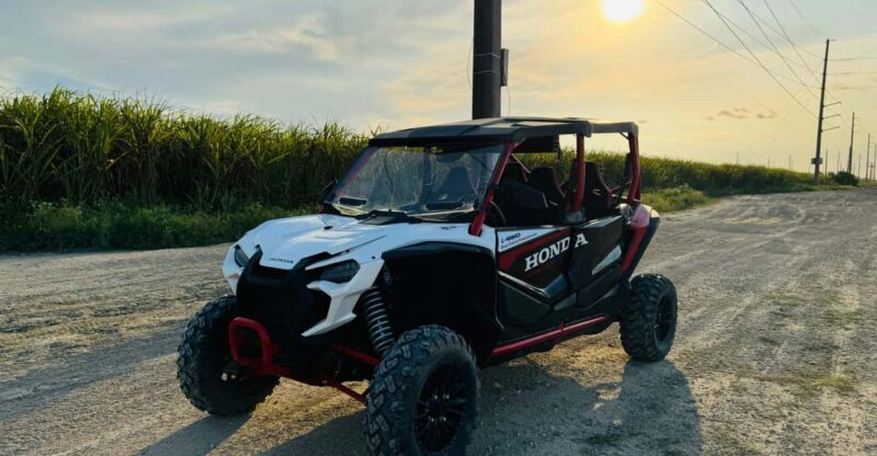 Miami's Ultimate Buggy Adventure on a Honda Talon UTV - An Honest Look at the Experience