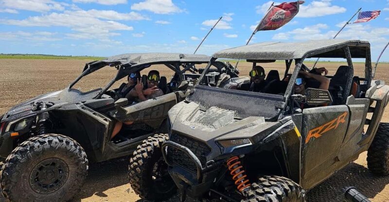 Miami's Ultimate Buggy Adventure on a Polaris RZR UTV - Why the Scenery Matters