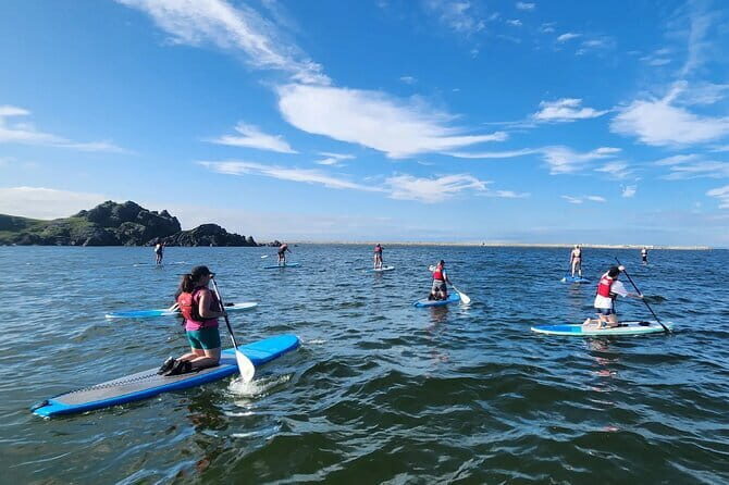 Michinoku Coastal Trail to Miyako SUP with Lunch - Exploring the Michinoku Coastal Trail to Miyako SUP with Lunch: A Balanced Look