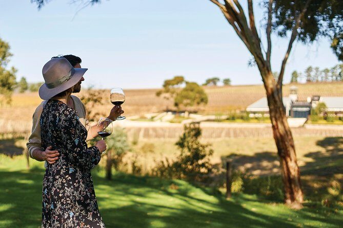 Micro-Group McLaren Vale Wine Tour from Adelaide - An In-Depth Look at the Tour