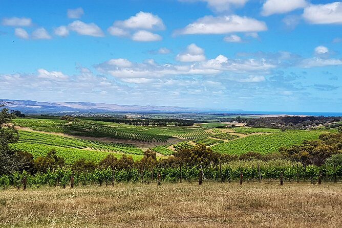 Micro-Group McLaren Vale Wine Tour from Adelaide - Final Thoughts