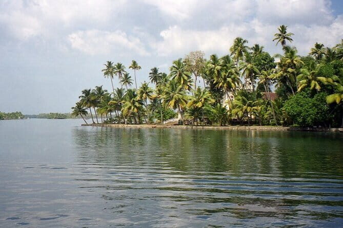 Midday Cruise with Village Life - Midday Cruise with Village Life: A Relaxed Dive into Kerala’s Backwater Charm