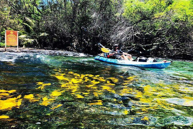 Midday Meander - Kealakekua Bay Kayak and Snorkel Adventure - FAQ