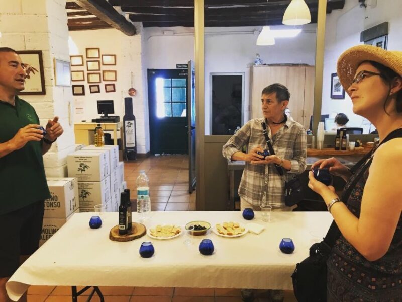 Midday Olive Oil Tour and Visit to Old Town of Belchite - Exploring the Zaragoza Countryside: What to Expect