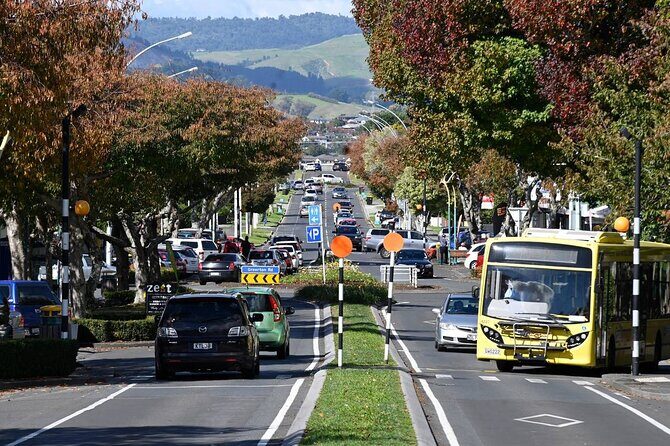 Middle Earth Private Tour from Tauranga Cruise Port. Tickets incl - An In-Depth Look at the Tour Experience