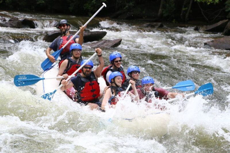 Middle Ocoee River Whitewater Rafting Trip - Most Popular - An In-Depth Look at the Ocoee River Whitewater Rafting Experience