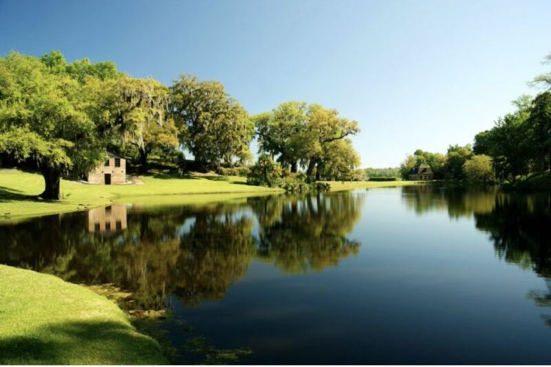 Middleton Place Plantation Tour - Introduction