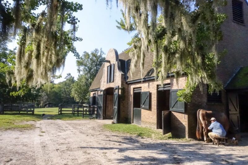 Middleton Place Plantation Tour - The Value and Experience
