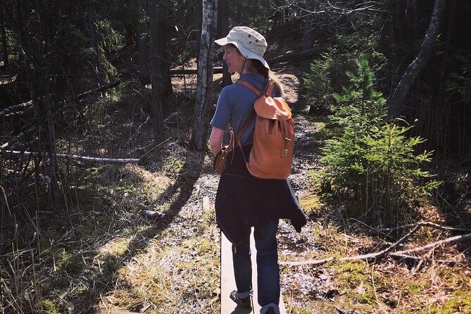 Midnight Sun and Campfire - National Park evening hike Stockholm - What Makes This Tour Stand Out?