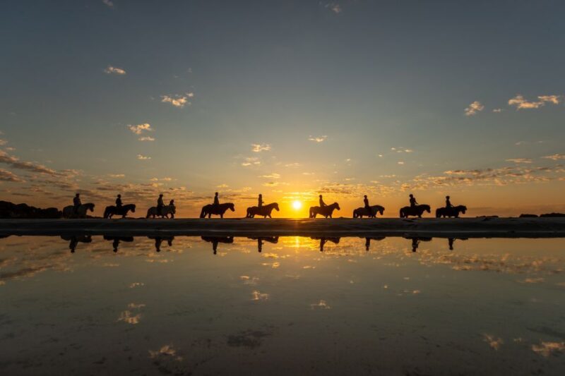 Midnight sun tour - The Horses and Guides